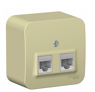 Schneider Electric  BLANCA  Бежевый Розетка 2-местная компьютерная RJ45, категория 5E, изолирующая пластина, открытая установка BLNIA045457